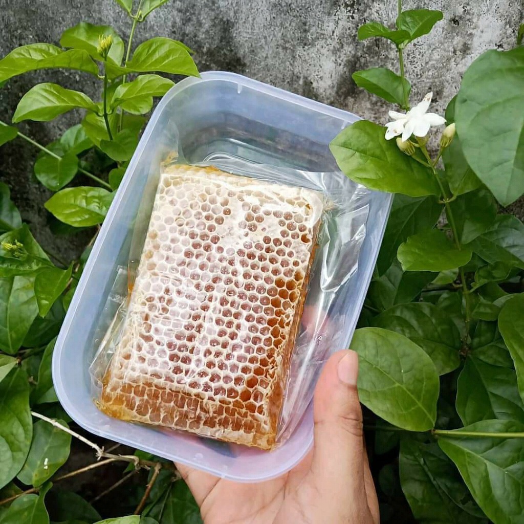 

Sarang Madu Asli Kamalayan