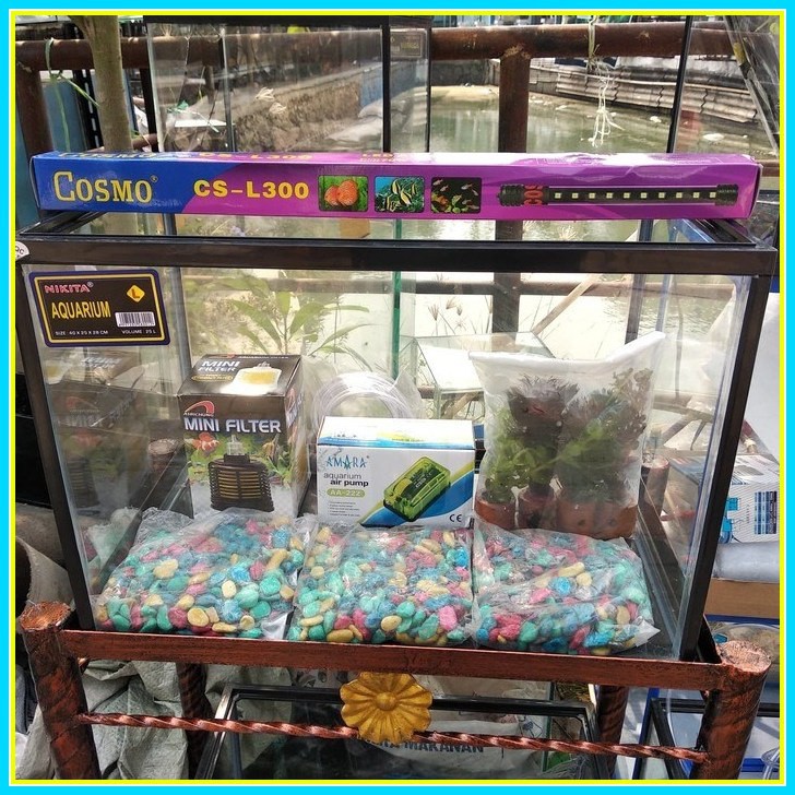 Paket Aquarium Ikan Set Lengkap Akuarium Ikan Cupang Hias Perlengkapan Aksesoris Aquarium Unik Shopee Indonesia