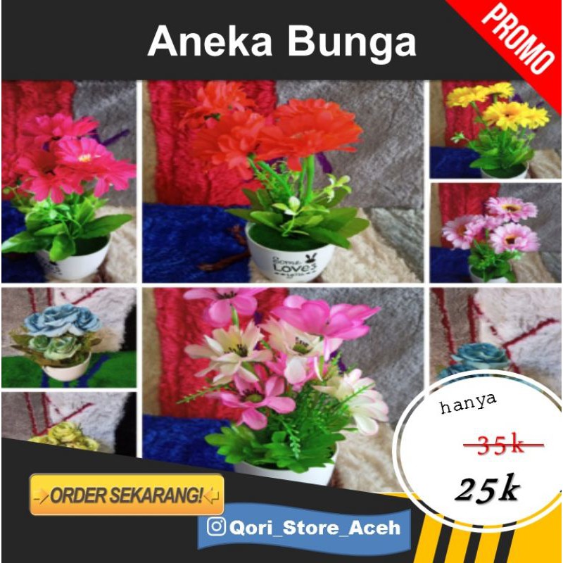

Qori Store - Promo Aneka Bunga