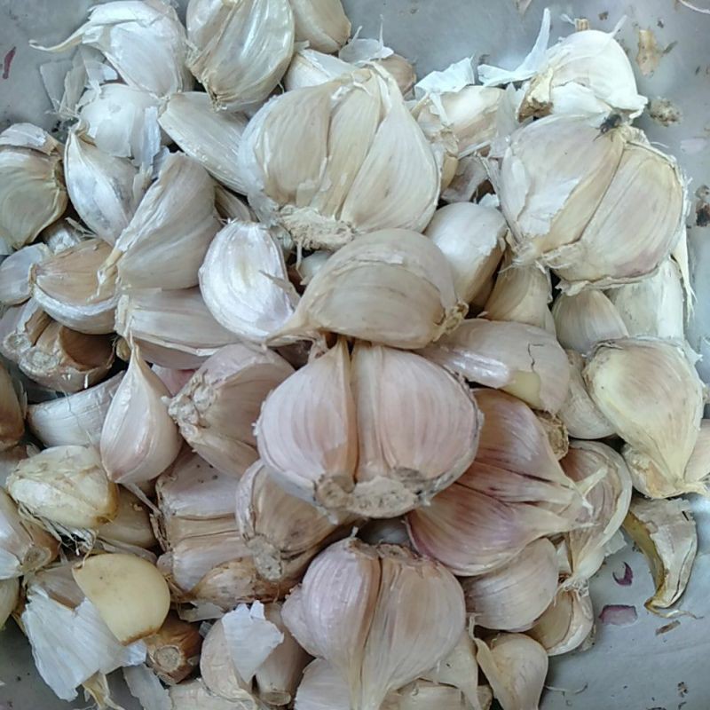 

bawang putih kating