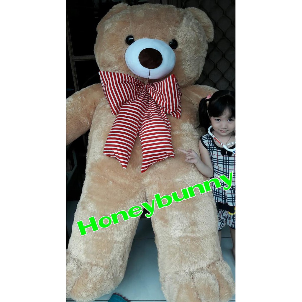 BONEKA TEDDY BEAR BERUANG SUPER BESAR 2METER BM1674 GT45