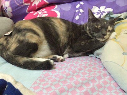 Wajan Penggorengan Maxim Valentino Wok 30cm 30 Cm