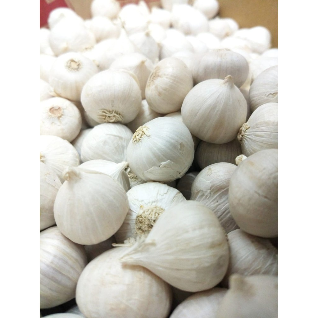 

BAWANG PUTIH TUNGGAL LANANG 1 KG MURAH BERKUALITAS