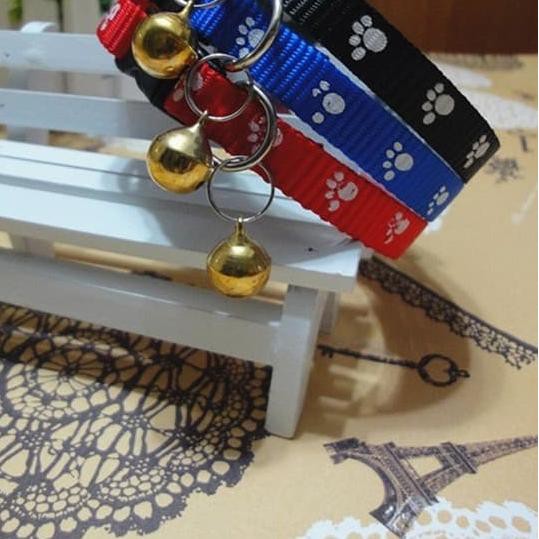 kalung anjing kucing  hewan  peliharaan  pet grooming 