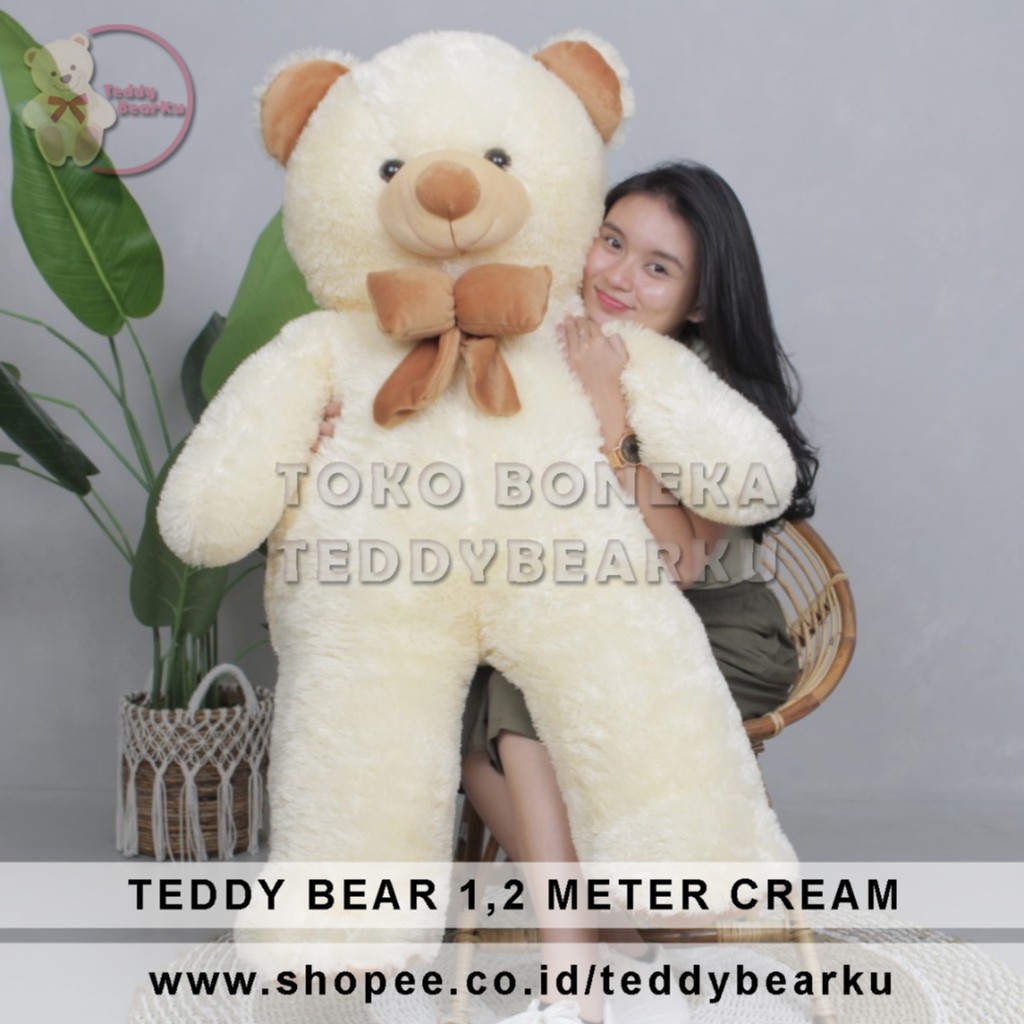 Boneka Teddy Bear Super Jumbo 1,2 Meter Warna Cream