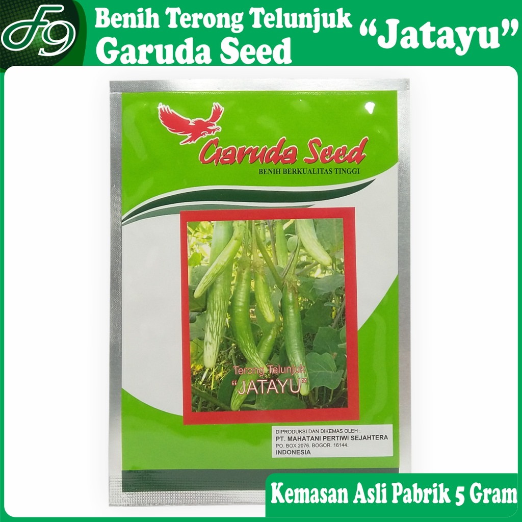 Benih Bibit Terong Telunjuk Jatayu Garuda Seed Kemasan Pabrik 5 gram