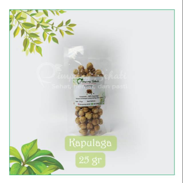 

Kapulaga 25 gr / Cardamom / Rimpang Rempah Empon Sehati