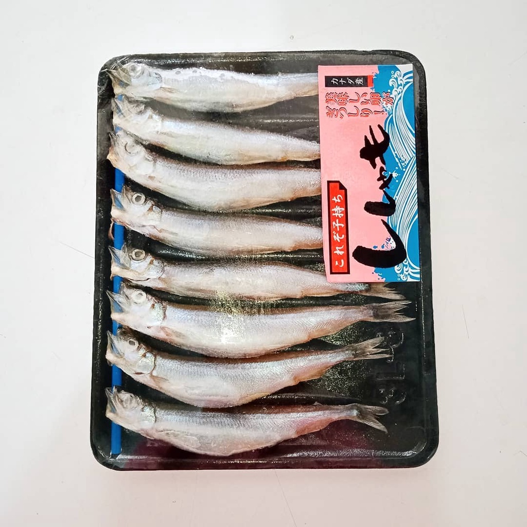 

Ikan Capelin / Shisamo Fish 170gr - PREMIUM - READY STOCK