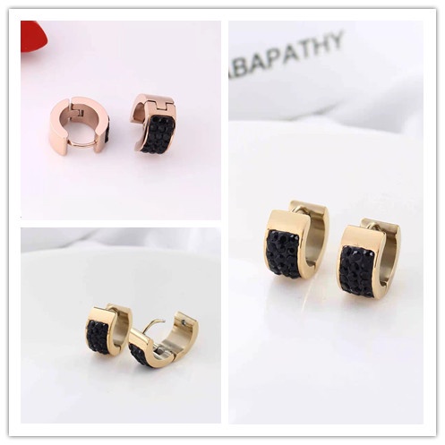 Anting-anting titanium R006.5006