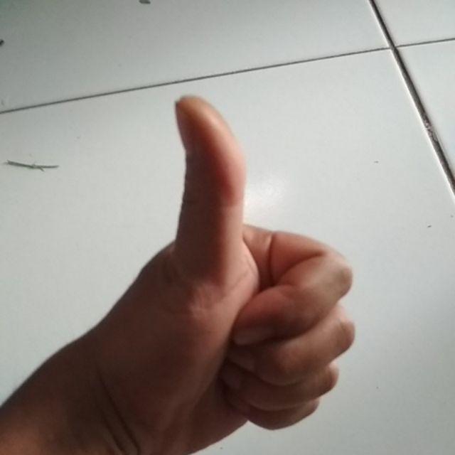 Meiji Spray Gun Tabung Atas R3g