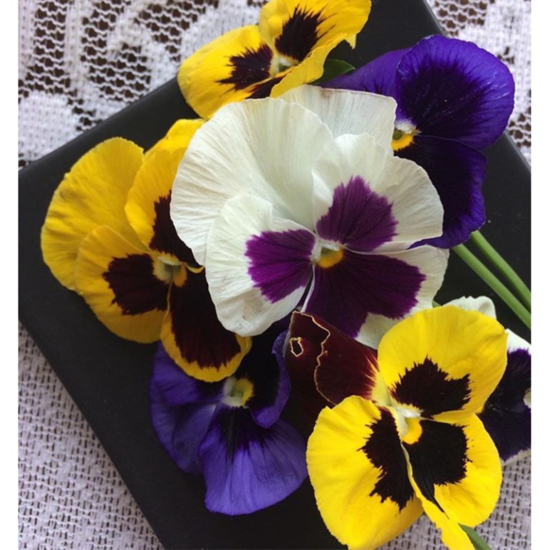 Bunga Edibel / Edible Flower Pansy Edible Garnish Kembang Hias Kue Pudding Cake Puding Garnis