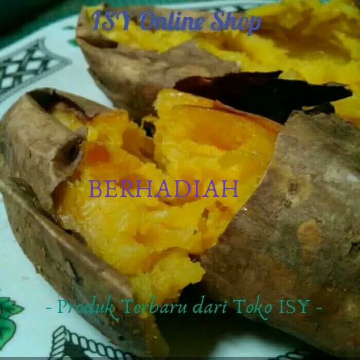 

Ubi Cilembu/ Ubi Madu Bakar ( SIAP MAKAN ) - MMD962