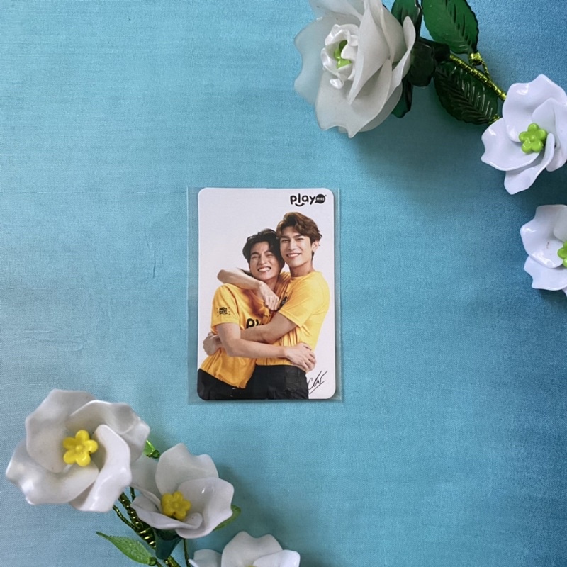 OFFICIAL PlayMore Photocard MewGulf