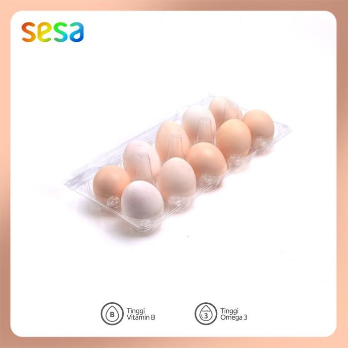 

Telur Ayam Kampung Best Value 10 butir Best Seller