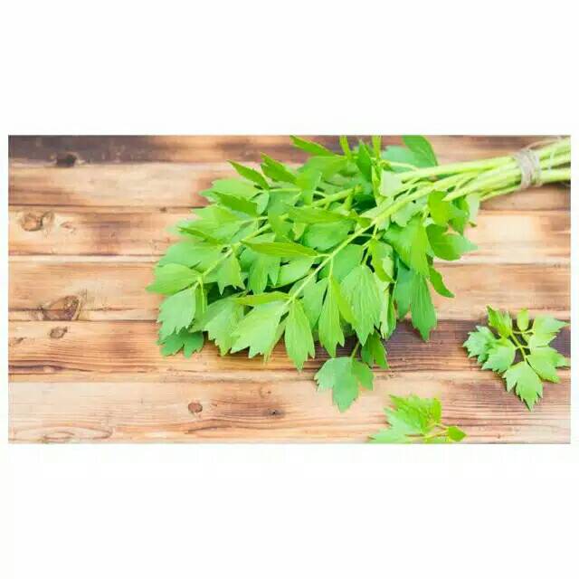 

❤ SEMBAKO MURAH ❤ Daun Seledri Bumbu Dapur Kiloan Pasar Murah Bekasi