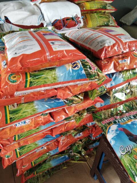 Bibit padi Pajajaran cap jago