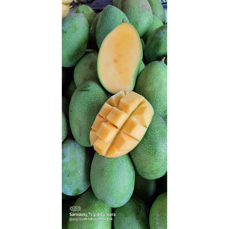 mangga manalagi madu manis