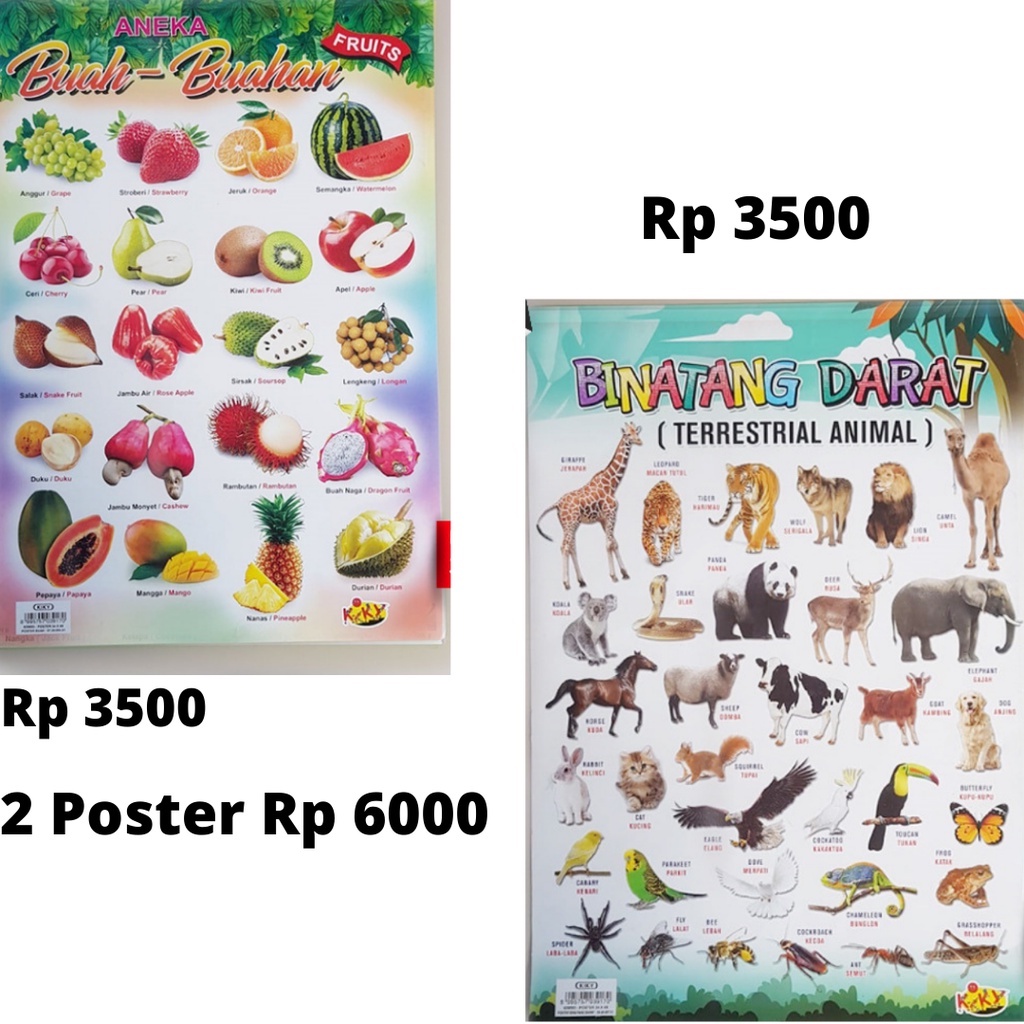 

Poster Aneka Buah-buah an & Poster Binatang Darat