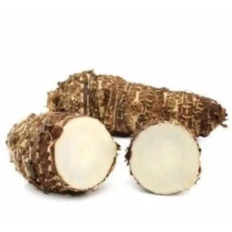 

ready ubi talas umbi talas segar 500gr