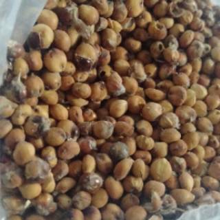  Biji  Sorgum  1kg Organik Shopee Indonesia