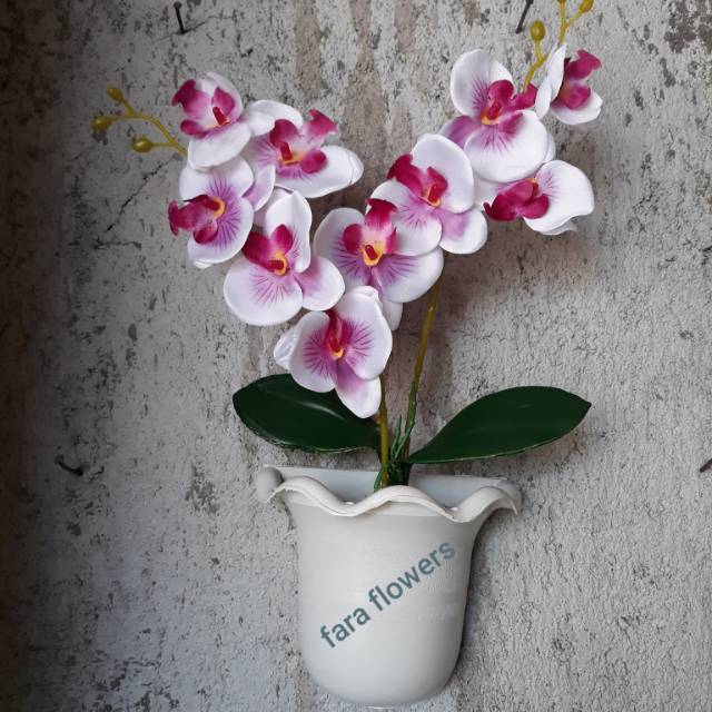 Promo Bunga Anggrek Bulan Anggrek Dinding Pot Plastik
