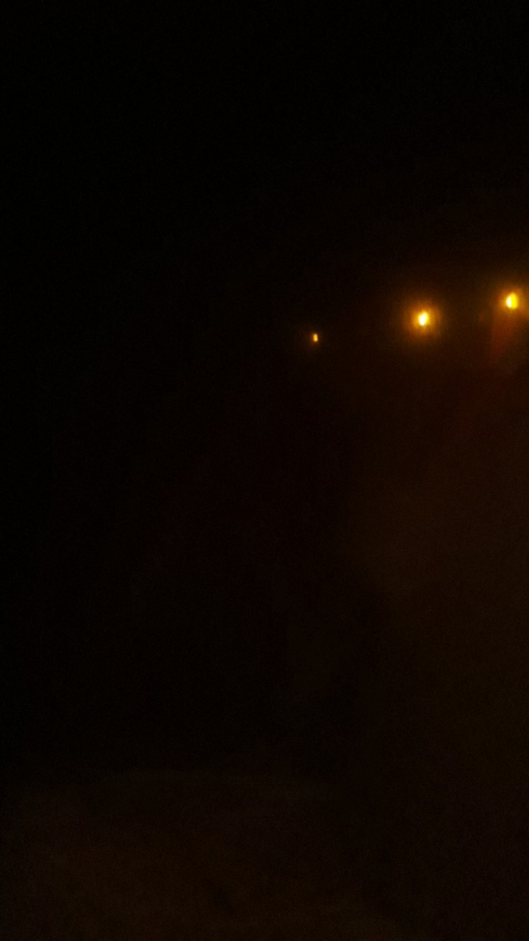 [159 Gram ] Alat Penghancur Bawang Stainless Steel Garlic Press