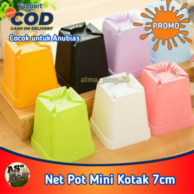 Pot Mini Kotak 7cm Netpot Untuk Hidroponik Anubias Kaktus Skulen Grosir Promo Murah Cod