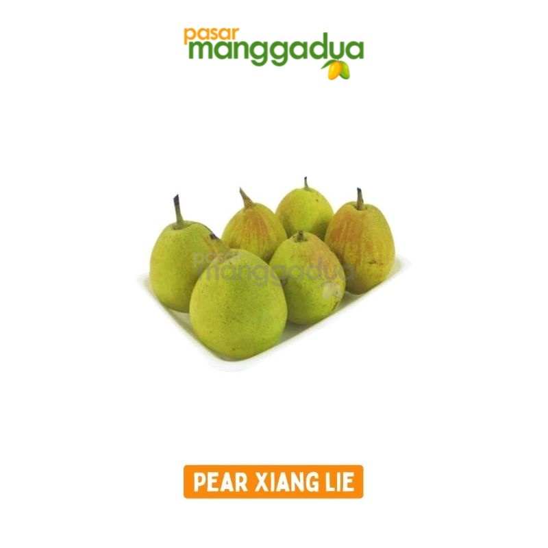 

FRESH !!! Pear Packham / Pear Jambu Per Kg / Buah Segar