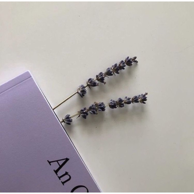 REED DIFFUSER AROMATERAPI RATTAN 50ml STICK BUNGA Taffware HUMI REED DIFFUSER RATTAN STICK-Lavender