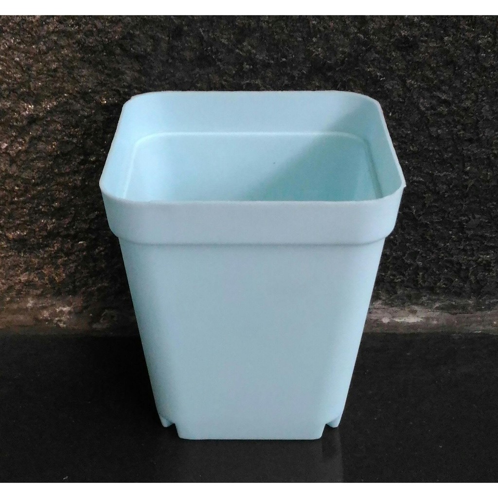 Terlaris Mini Pot Succulent Biru Grosir
