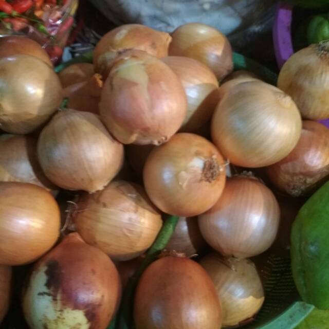 

Bawang bombay fresh segar 500gram