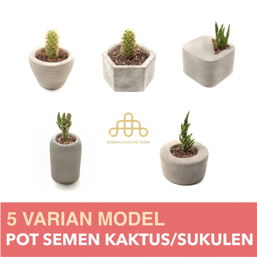 Pot Kaktus Pot Mini Sukulen Concrete Pot Mini Planter Pot Beton Bonsai Bandung