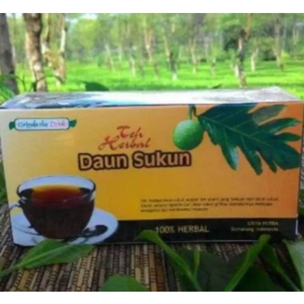

TEH Obat herbal khasiat ampuh mengobati jantung dan ginjal dengan teh daun sukun alami berkuakitas