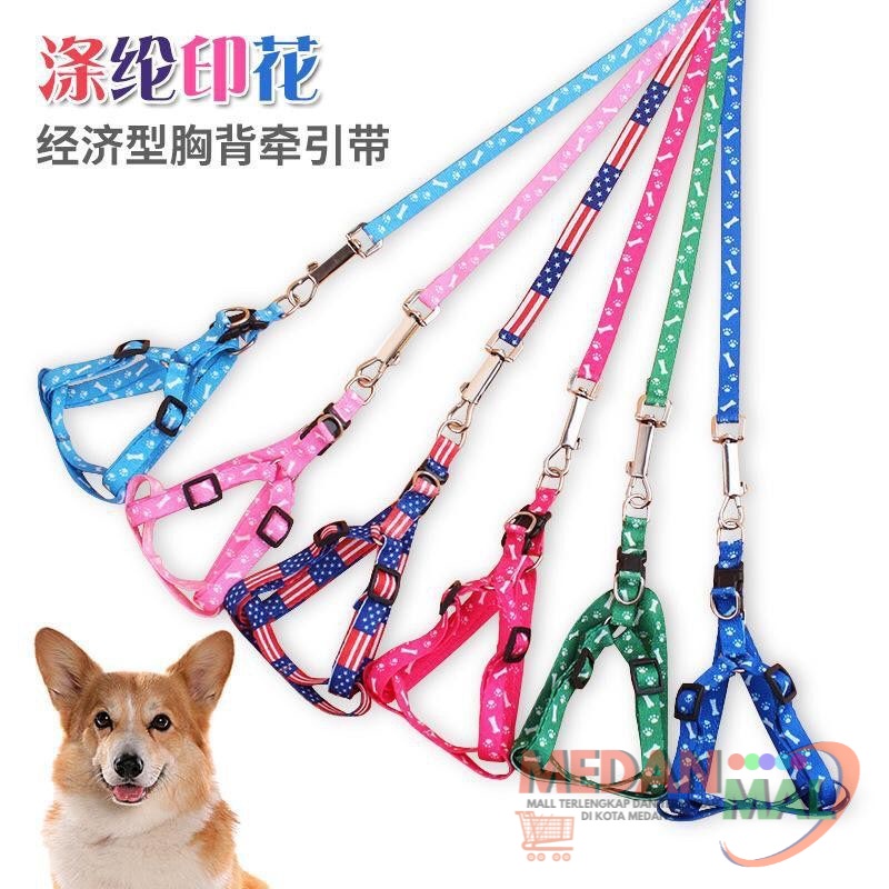 Tali Tuntun Hewan / Anjing Kucing Kelinci / Herness / Rantai
