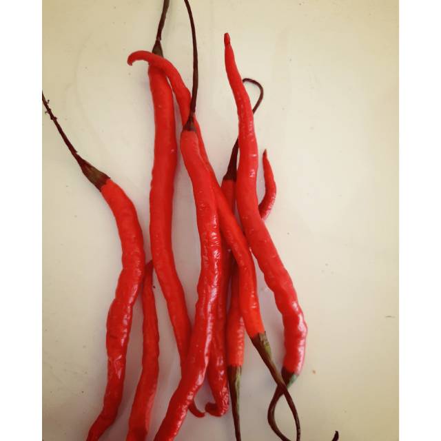 

Cabe merah kriting