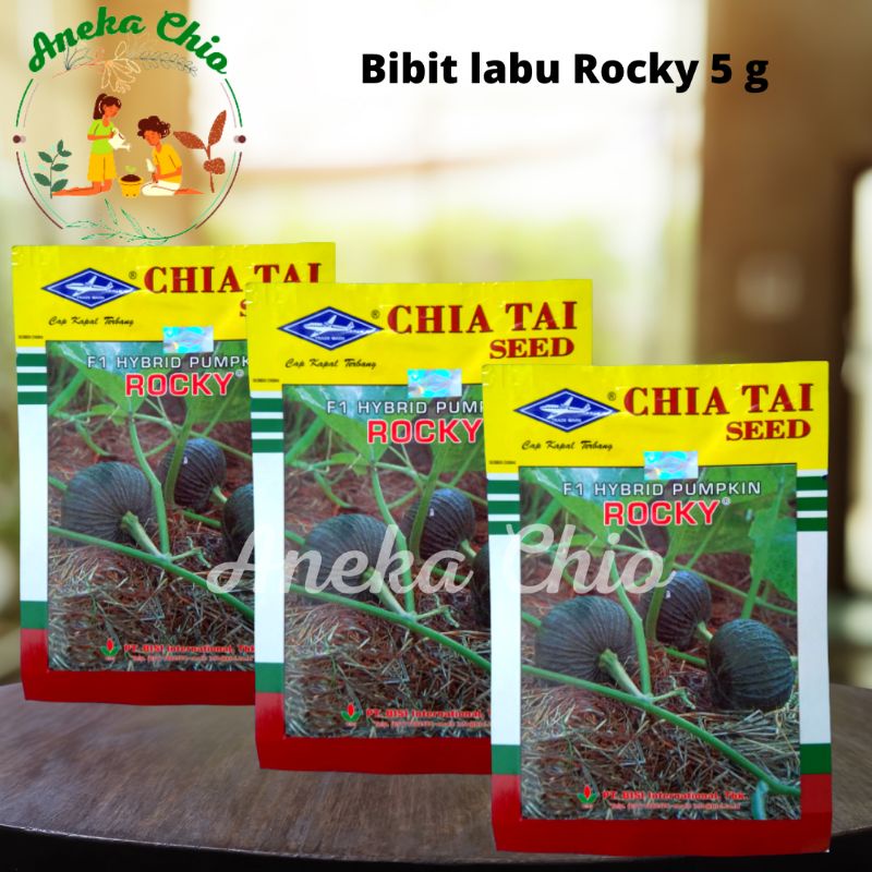 bibit benih sayuran Labu Waluh ROCKY 5GR - Cap Kapal Terbang chia tai 5 gram