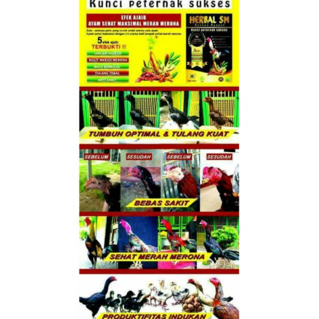 

HERBAL SN (SASANA NGAPAK)ASLI PURWOKERTO