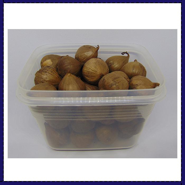 

AMPUH BLACK GARLIC TUNGGAL 250 GRAM - BAWANG PUTIH HITAM TUNGGAL/LANANG !!!