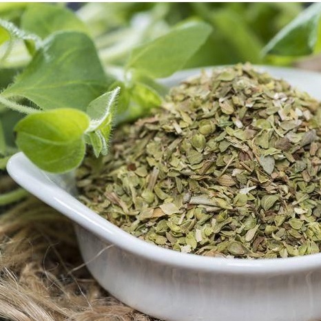 

Daun Herbal Oregano Kering Penyedap Makanan Pizza Spagetti Mantab Sedap