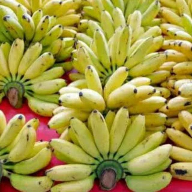 

PISANG ULIN buah buahan segar sehat