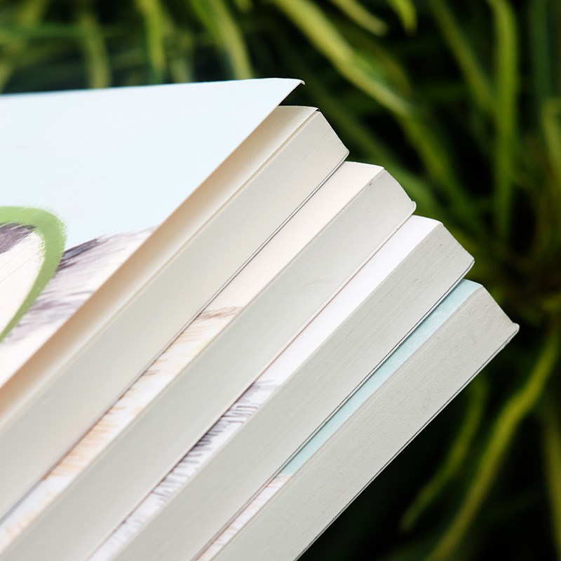 

Garfield Story Square Sketchbook