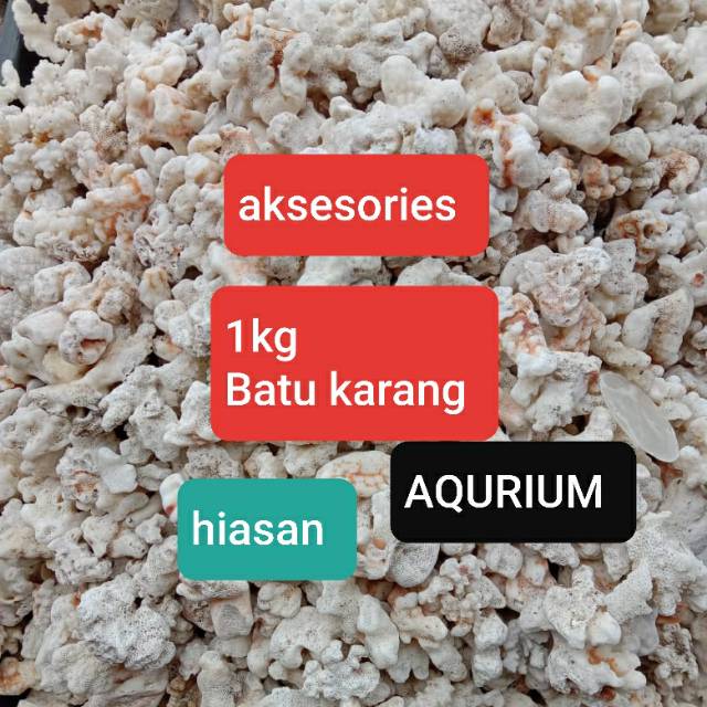 HIASAN AKUARIUM/ AQUARIUM  BATU KARANG LAUT ASLI