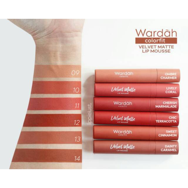 WARDAH COLORFIT VELVET MATTE LIP MOUSSE shade 01 - 14