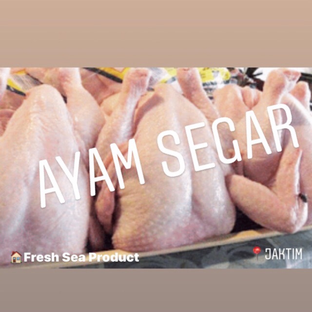 

Ayam Segar / Potong Sesuai Request