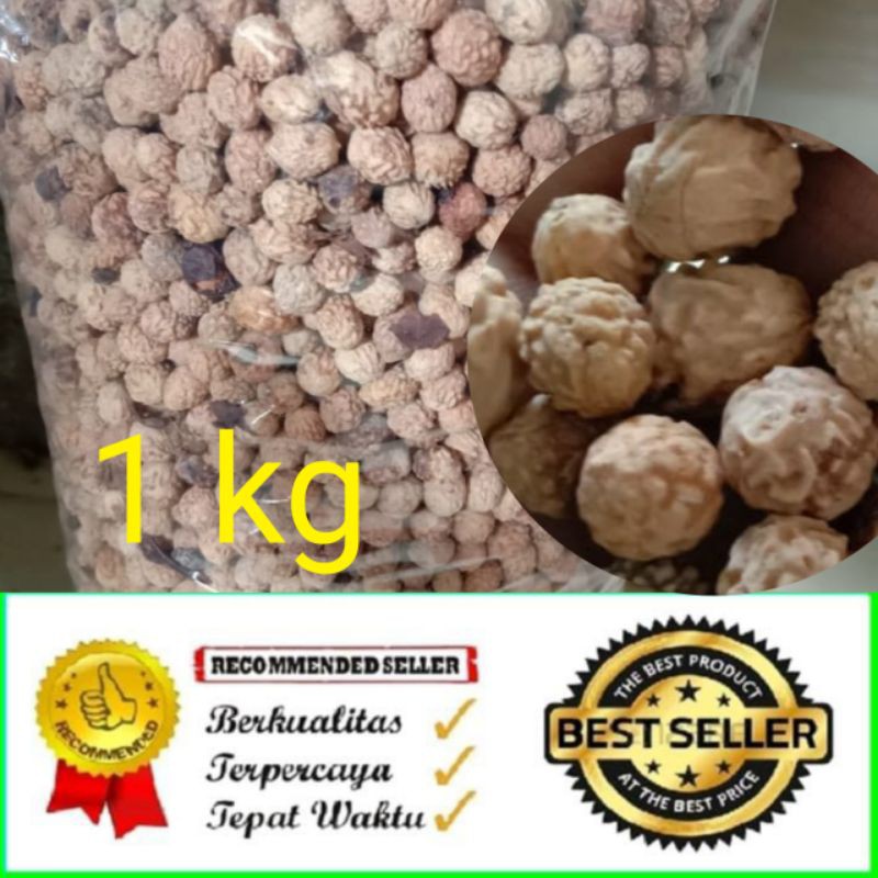 BIJI BIDARA ARAB ASLI 1 kg