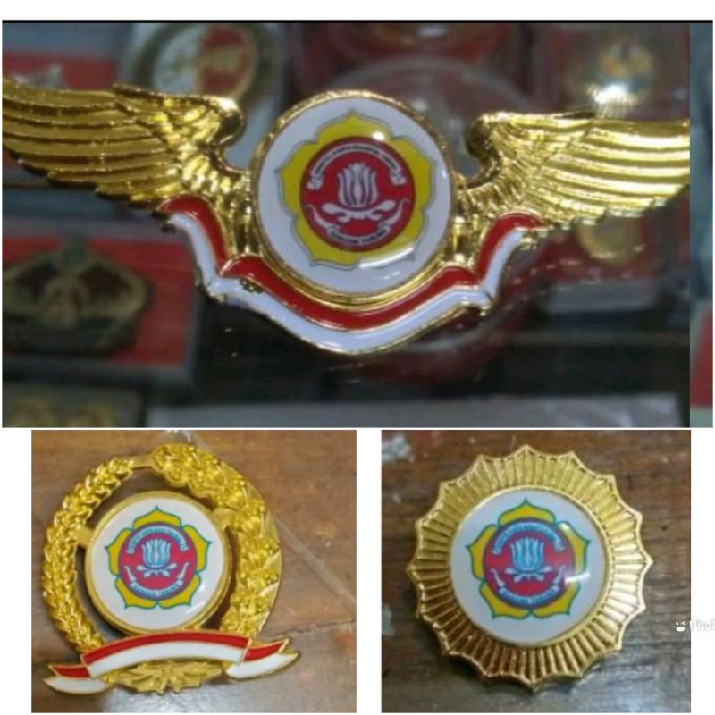 pin karang taruna