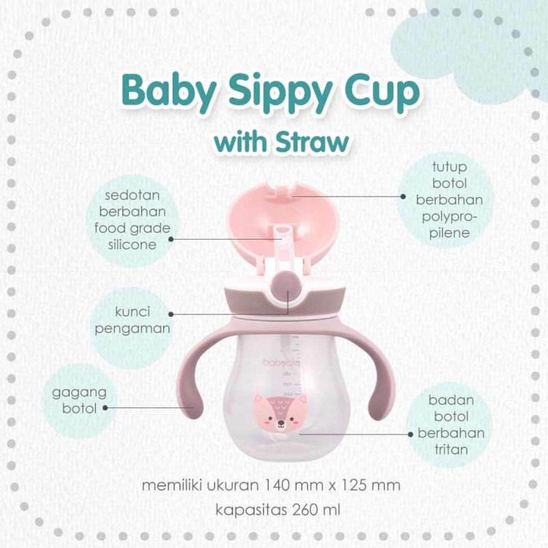 BabyQlo Sippy Cup With Straw 260ml Botol Minum Anak