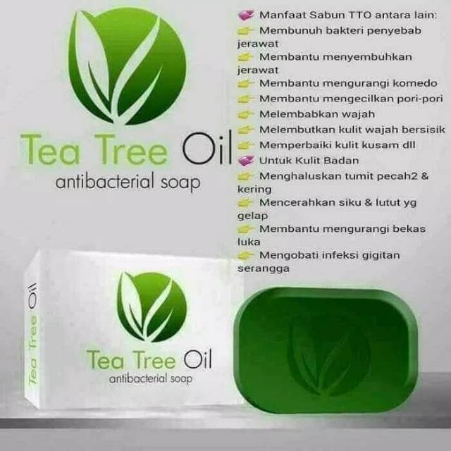 Sabun Tea Tree Oil Msi Sabun Tto Msi Sabun Jerawat5 Indonesia