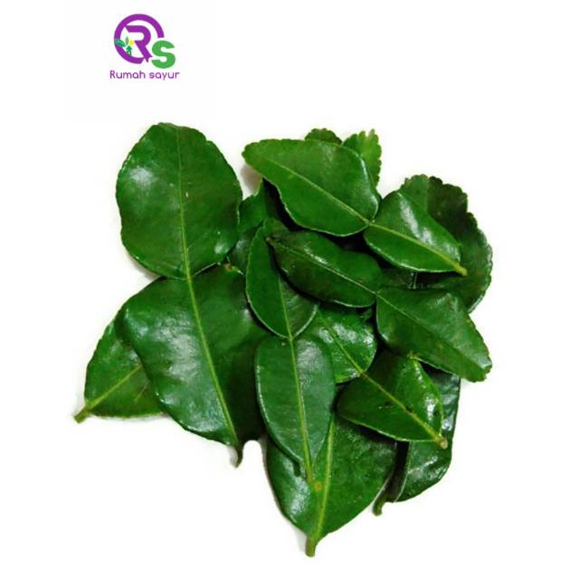 

Rumah Sayur Daun Jeruk Purut 250 gram - Daun Jeruk