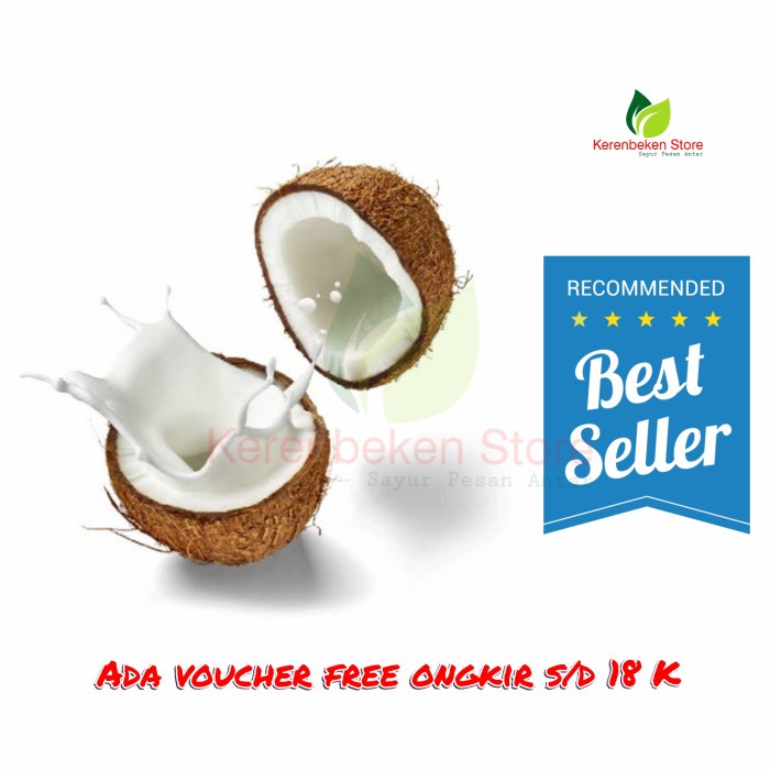 

santan kelapa per 1 buah kelapa